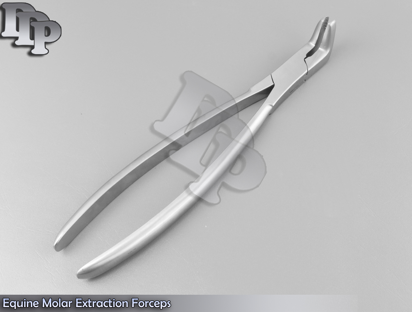 Equine Molar Extraction Forceps 12.5" Veterinary Instruments,DDP-V0011