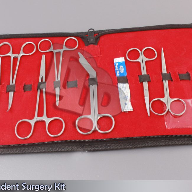 10 pc Minor Student Surgery Surgical Instruments kit