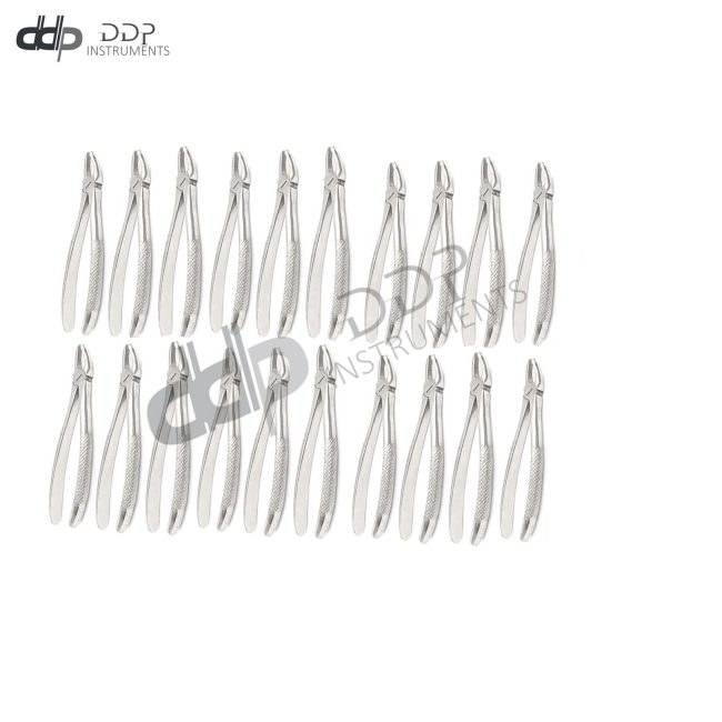 20 Extracting Forceps # MD2 Surgical Dental Instruments
