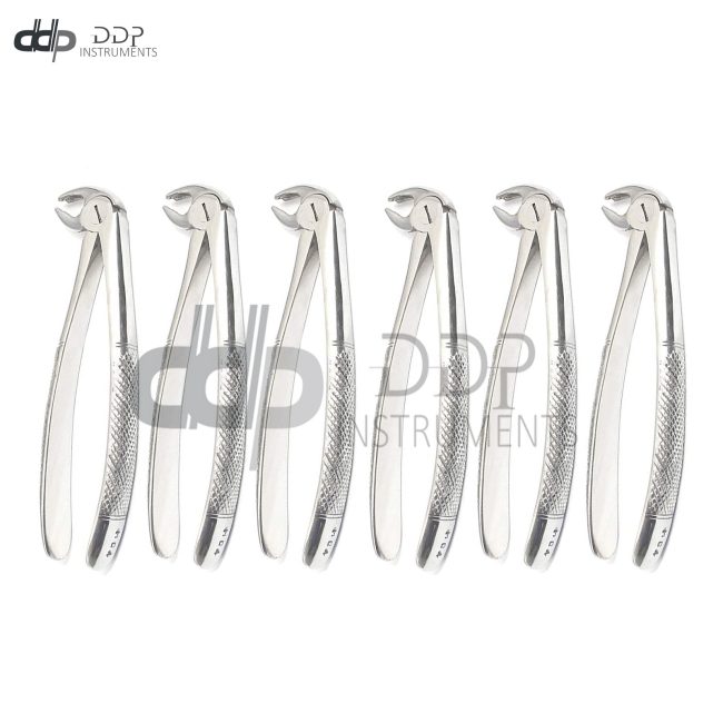6 Extracting Forceps # MD4 Surgical Dental Instruments