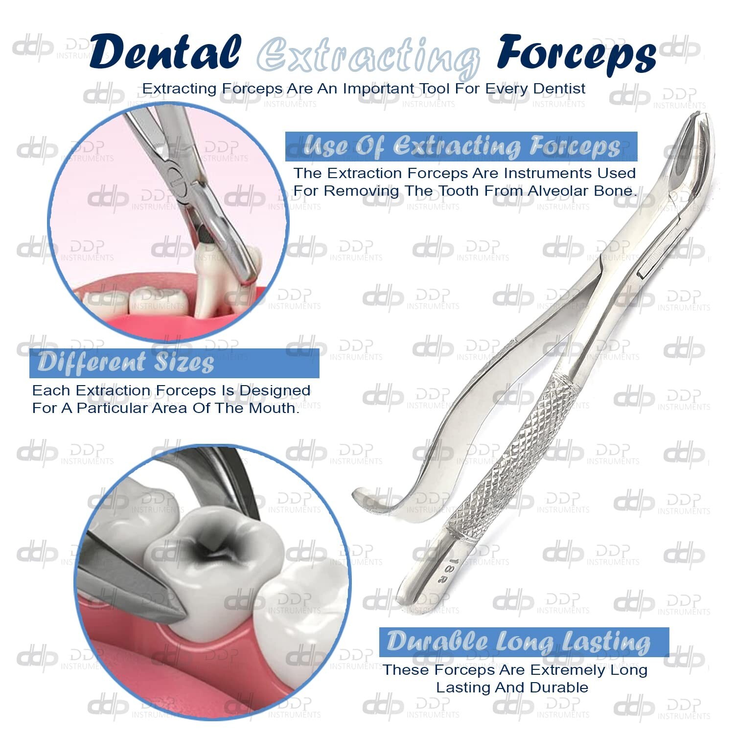 6 Pieces EXTRACTING FORCEPS #18R DENTAL SURGICAL INSTRUMENTS - Image 3