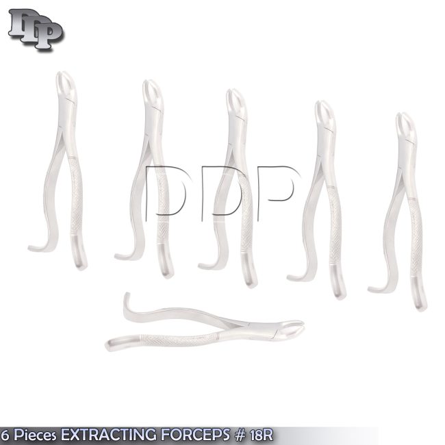 6 Pieces EXTRACTING FORCEPS #18R DENTAL SURGICAL INSTRUMENTS