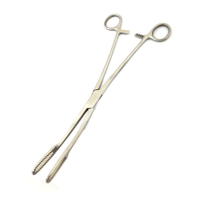 Agadi-Bierer Ovum Forceps 11.5'' W/Ratcher Stainless Steel Surgical Ins DS-2188