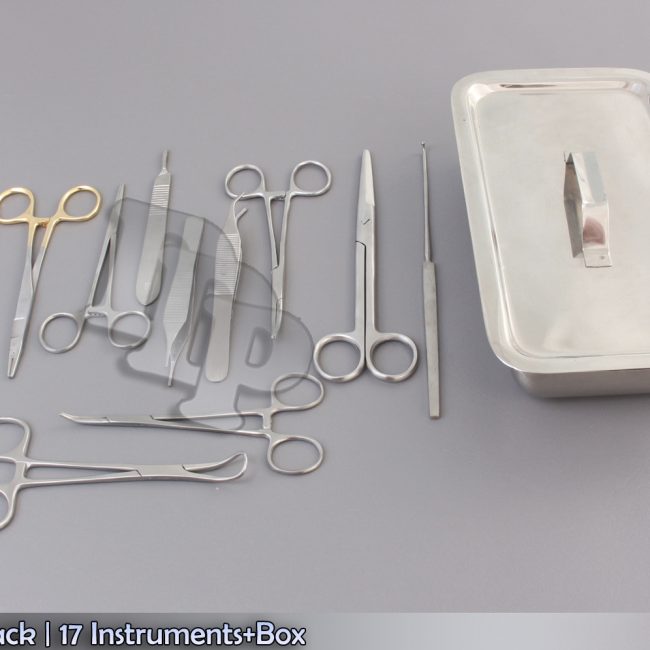 Feline Spay Pack | 17 Instruments+Box Stainless Steel Veterinary