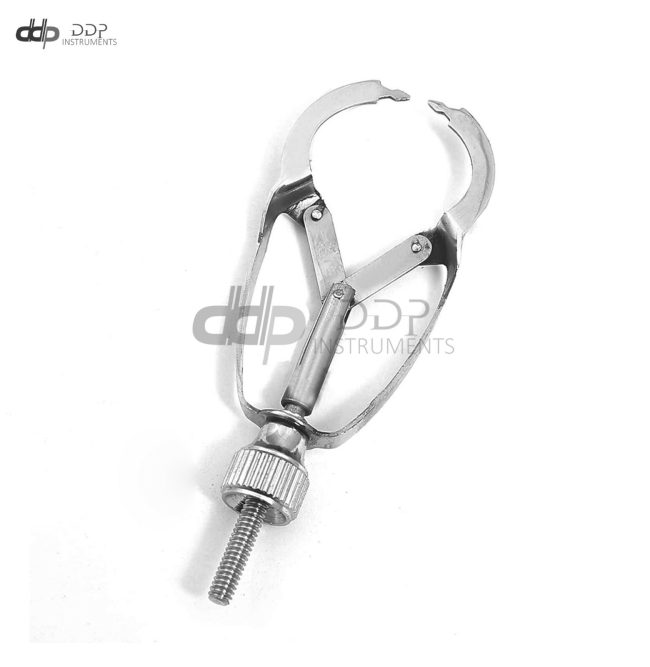 Ivory Matrix Retainer Dental Instruments
