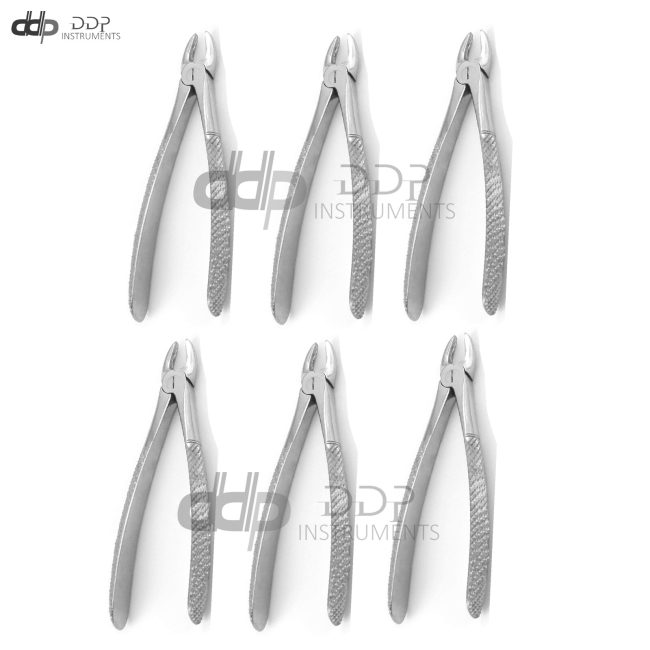 Lot Of 6 Pieces Tooth Extracting Forceps # 29S Surgical Dental Instruments