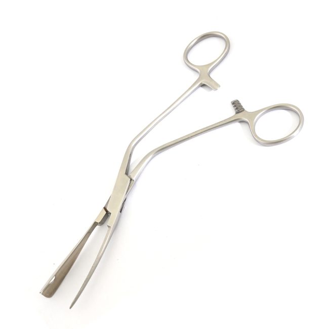 Orbital Fat Pad for Nasal Tip Augmentation in Far Eastern Rhinoplasty DS-2173