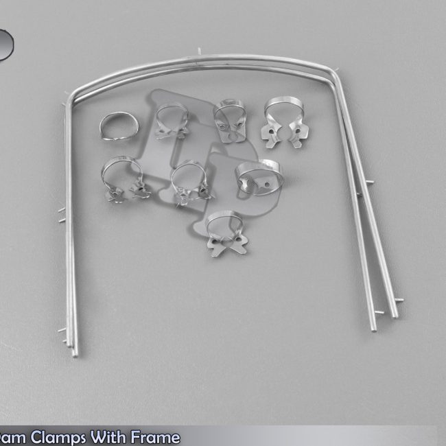 Rubber Dam Clamps with Frame 16 Pieces Dental Surgical Instruments Set DN-447