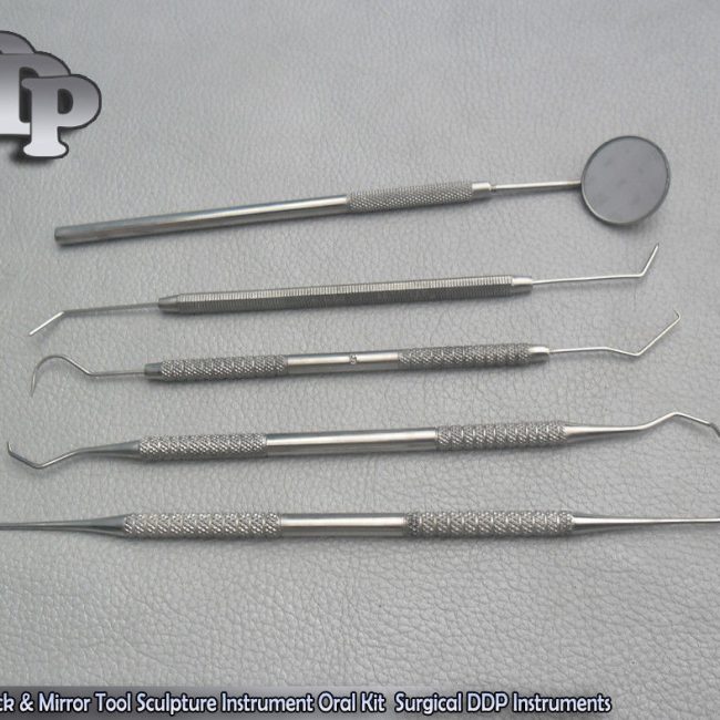1 Set Dental Pick & Mirror Tool Sculpture Instrument Oral Kit Tooth Teeth PR-163