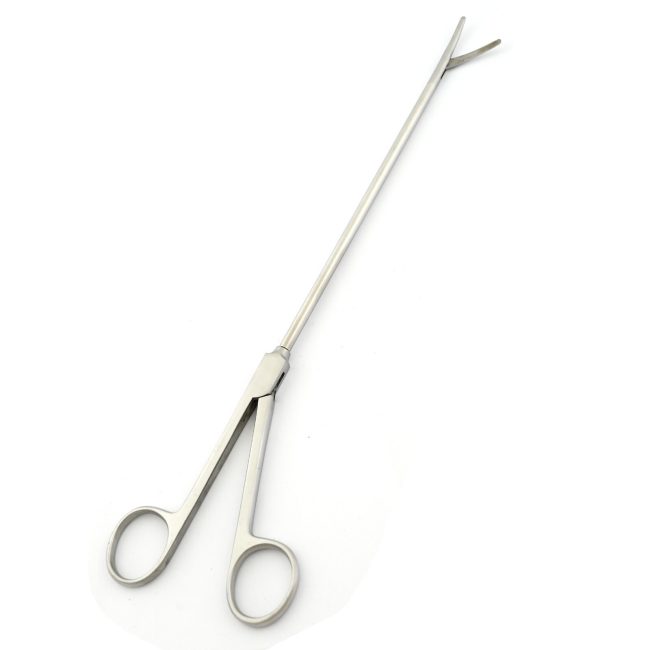 Chitwood Dissecting Scissors Curved Blades 2.5 cm Blunt Tips 11.5'' DS-1922