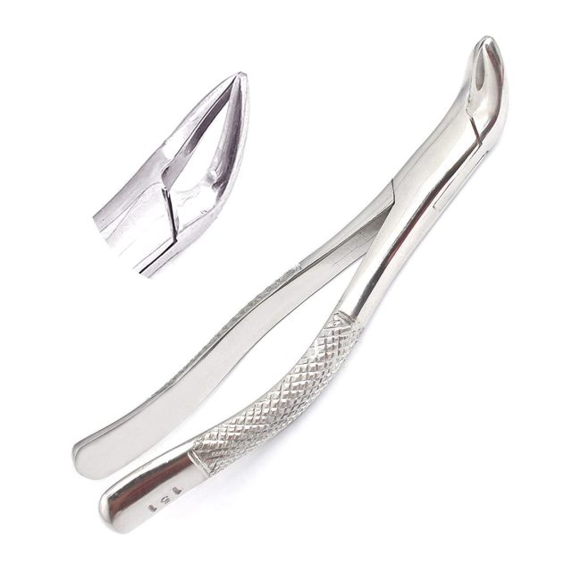 DENTAL TOOTH EXTRACTING FORCEPS #151 WITH SERRATED JAW (GERMANY STAINLESS STEEL)