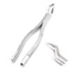 EXTRACTING FORCEPS # 286 DENTAL SURGICAL INSTRUMENTS