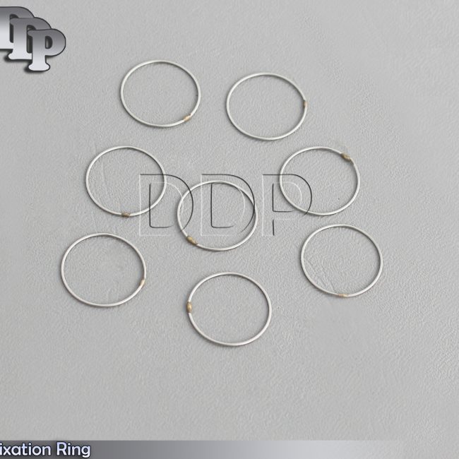 Flieringa Scleral Fixation Ring (Set of 8 Pieces)
