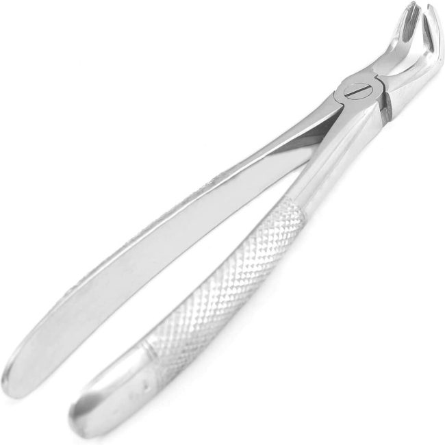 O.R GRADE DENTAL TOOTH EXTRACTING FORCEPS #79