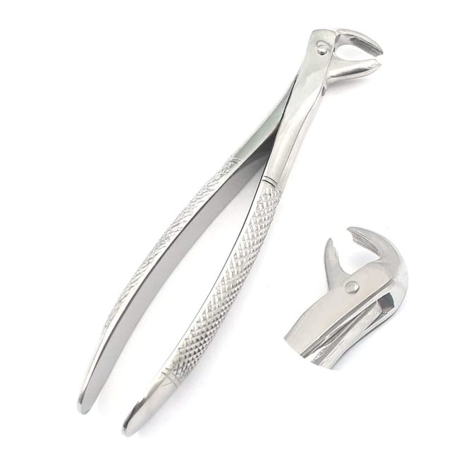 PEDO EXTRACTING FORCEPS # 73 DENTAL SURGICAL INSTRUMENTS