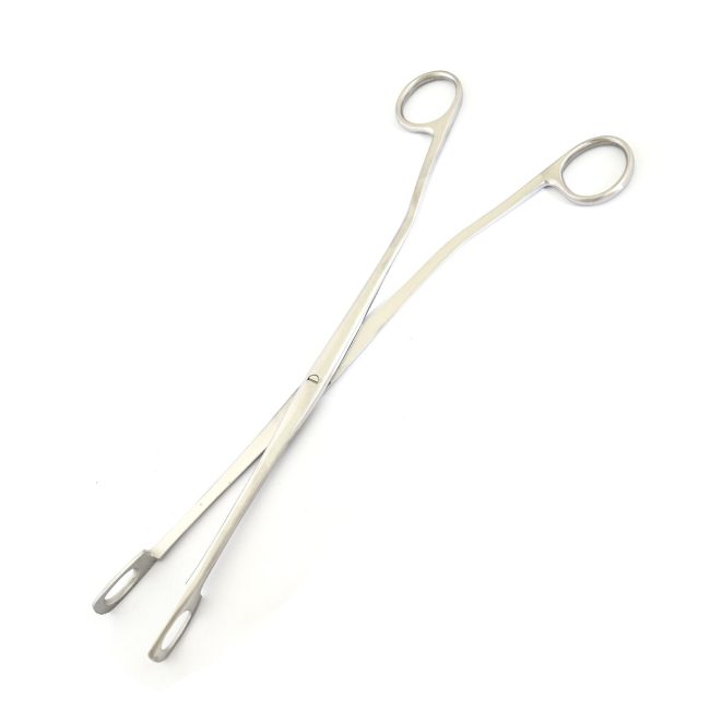 Rochester Gall Stone Forceps 10.5'' Stainless Steel Surgical Instruments DS-2172