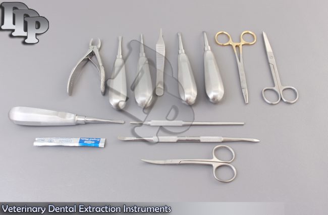 Veterinary Dental Extraction Instruments Kit Forceps DN-2183
