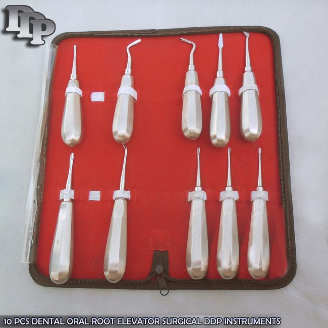 10 PCS DENTAL ORAL ROOT ELEVATOR SURGICAL  INSTRUMENTS