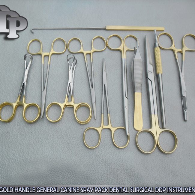 19 PCS GOLD HANDLE GENERAL CANINE SPAY PACK SURGICAL INSTRUMENTS SET KIT DS-1054