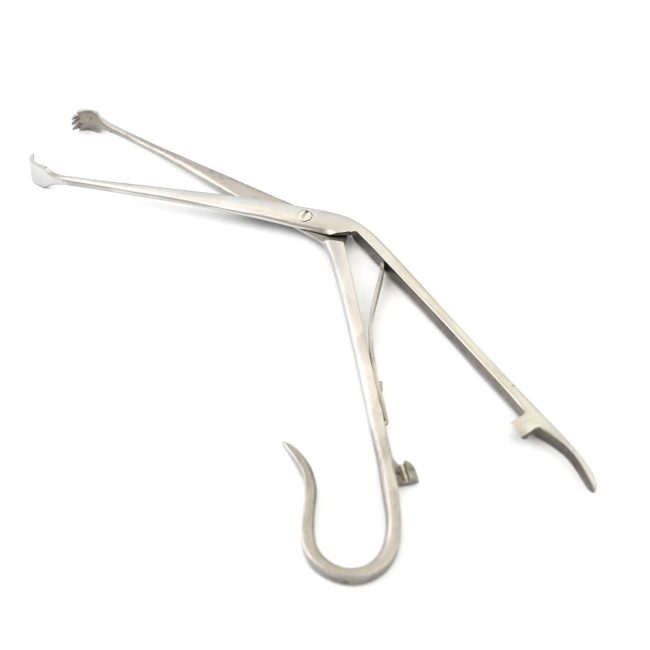 New Forceps Tonsil Seizing Forceps 8'' Stainless Steel Surgical Inst DS-1840