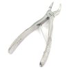 PEDO EXTRACTING FORCEPS H DENTAL SURGICAL INSTRUMENTS