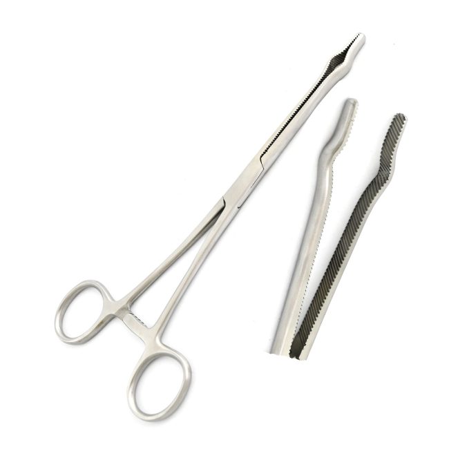 1 Pc Gregory Forceps 8'' Stainless Steel Surgical Instruments DS-1780