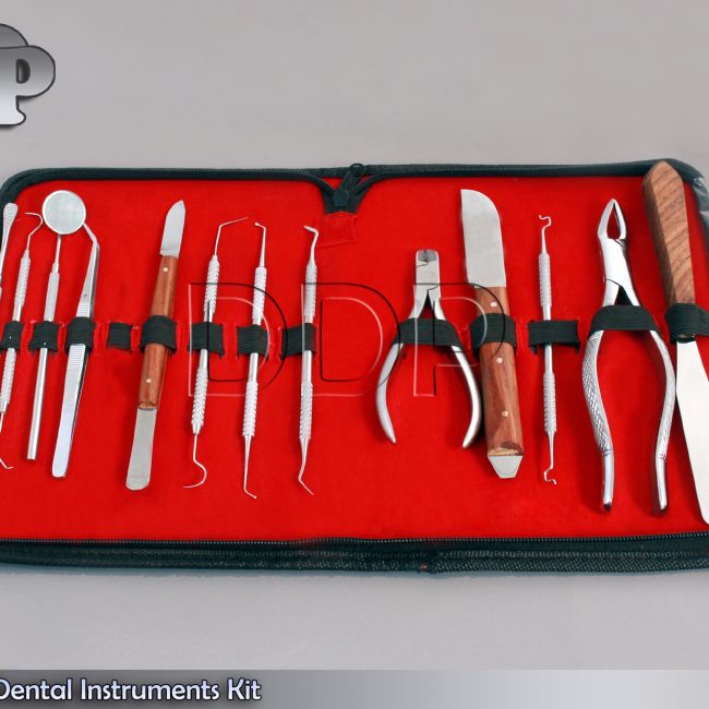 12 Pcs Dental Instruments Kit With English Pattern Forceps Tweezer Plier