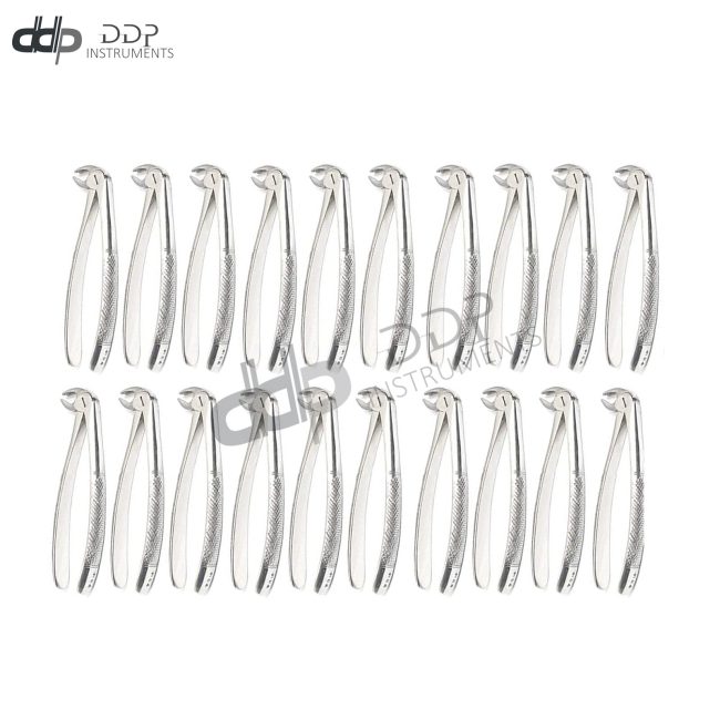 20 Pieces Of Extracting Forceps # MD4 Surgical Dental Instruments