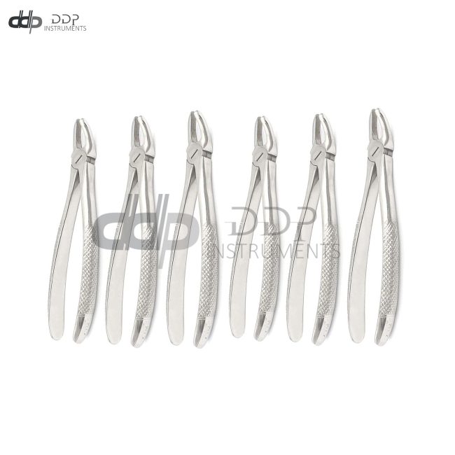 6 Extracting Forceps # MD2 Surgical Dental Instruments