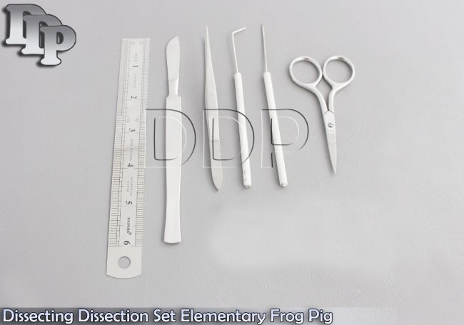 Dissecting Dissection Set Elementary Frog Student Lab Teachers Choice DS-700
