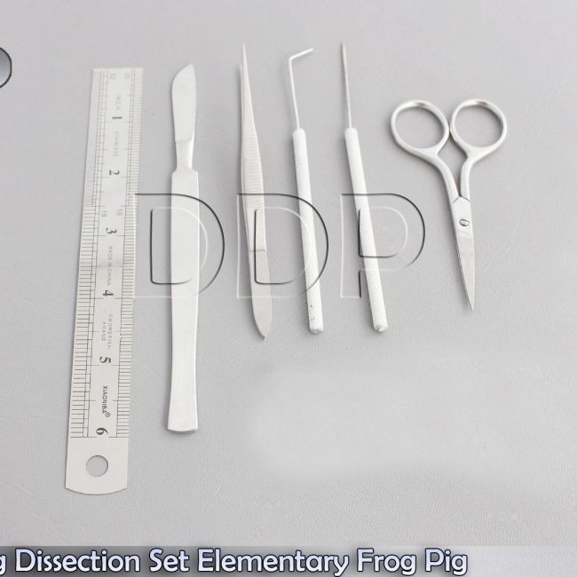Dissecting Dissection Set Elementary Frog Student Lab Teachers Choice DS-700