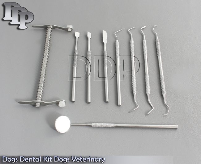 Dogs Dental Kit Dogs Veterinary Dental Tartar Removal Dogs Mouth Gags,DDP-631