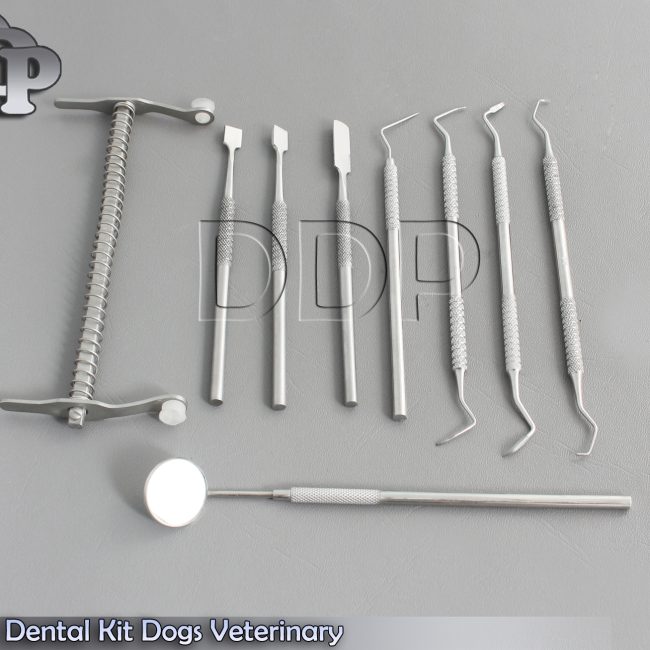 Dogs Dental Kit Dogs Veterinary Dental Tartar Removal Dogs Mouth Gags,DDP-631