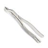 GERMAN EXTRACTING FORCEPS # 53R DENTAL SURGICAL INSTRUMENTS EXTRACTION FORCEPS