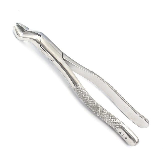 GERMAN EXTRACTING FORCEPS # 53R DENTAL SURGICAL INSTRUMENTS EXTRACTION FORCEPS