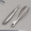 New Tooth Extracting Forceps No. 37 & 39 Dental Surgical Orthodontic Instruments