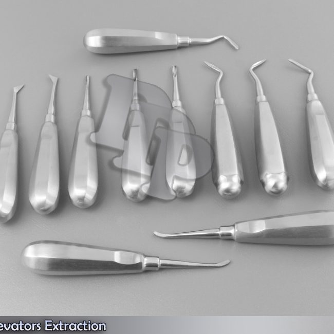 11 Dental Elevators Extraction Surgical Instruments NEW