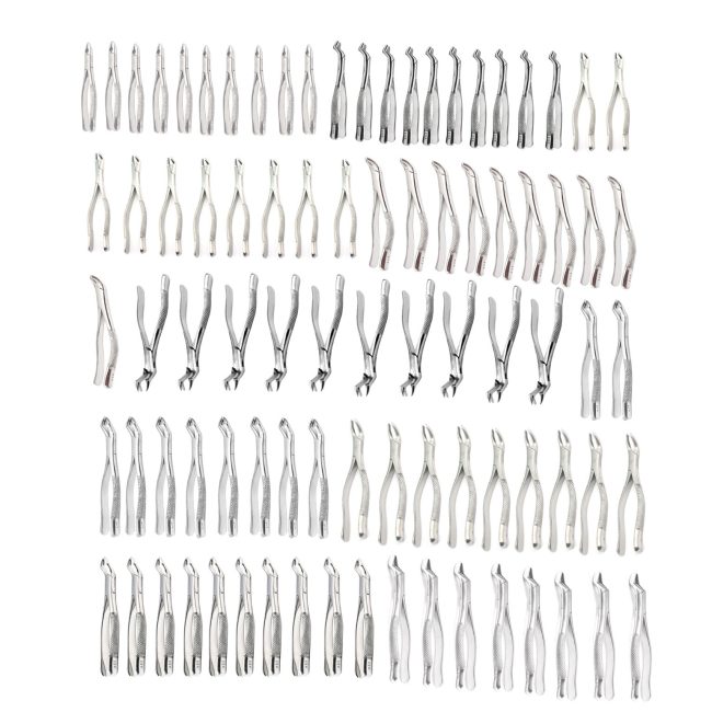 130 Pcs Extracting Forceps Different Number Dental Surgical Instruments