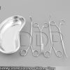 4 Randall Kidney Stone Forceps + 1 Kidney Tray 8" Surgical & Veterinary