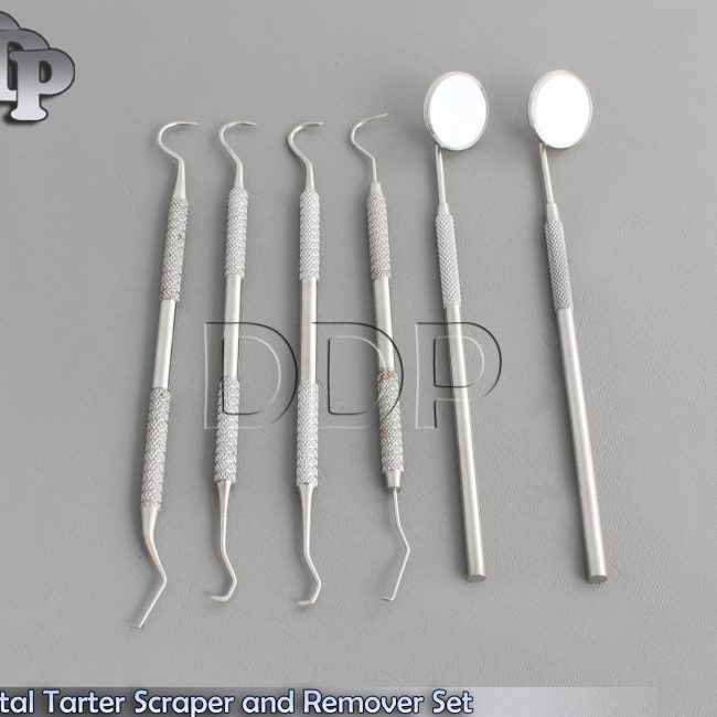 6 Pcs Dental Tarter Scraper and Remover Set Surgical Dental Instruments PR-196
