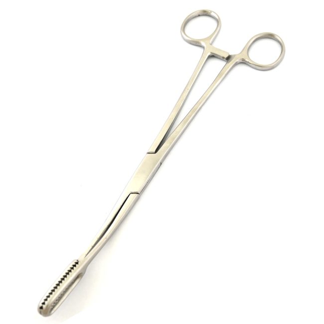 Agadi-Bierer Ovum Forceps 10.5'' W/Ratcher Stainless Steel  DS-2189