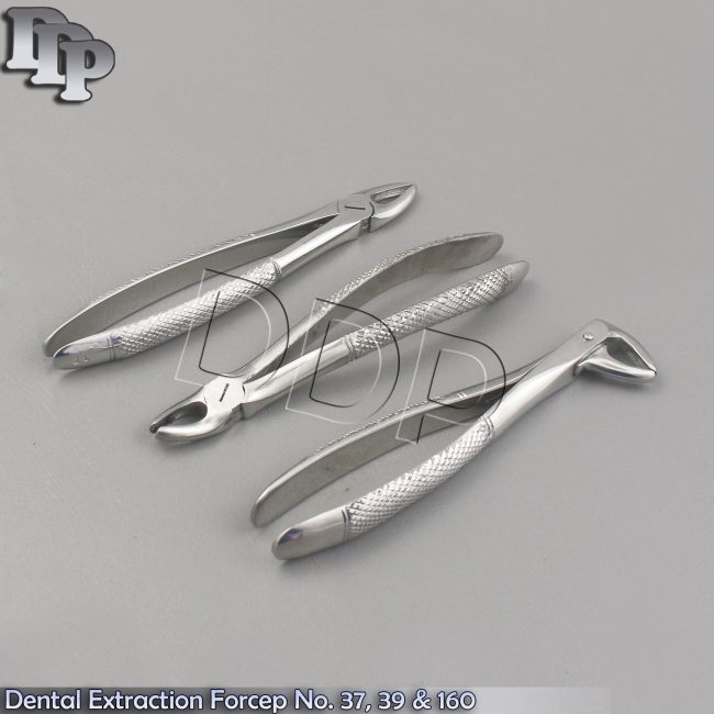 Dental Extraction Forcep No. 37, 39 & 160 Dental Surgical Orthodontic Instrument