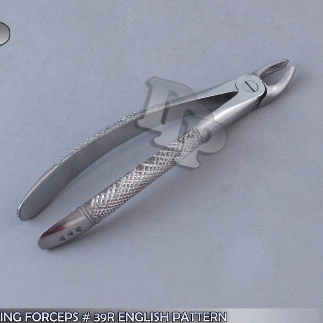 EXTRACTING FORCEPS # 39R ENGLISH PATTERN SURGICAL DENTAL INSTRUMENTS
