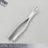 EXTRACTING FORCEPS DENTAL SURGICAL INSTRUMENTS # 32A