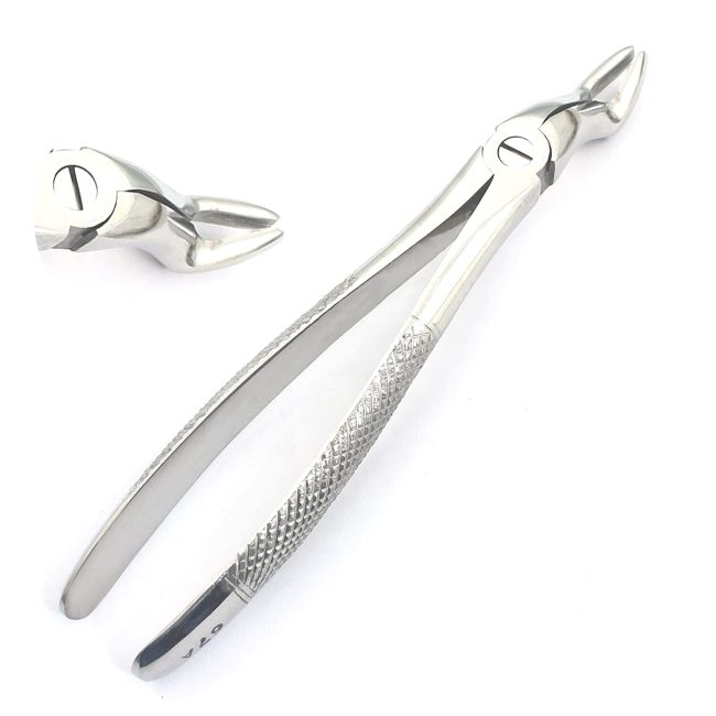 Extracting Forceps #67A, English Pattern Surgical Dental Instruments