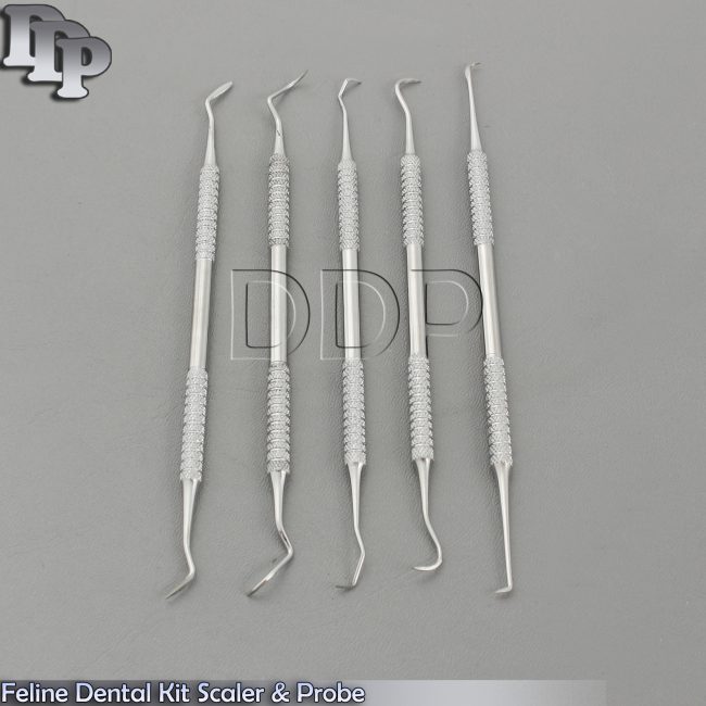 Feline Dental Kit Scaler & Probe Small Animal Dental Feline Small Dogs PR-260