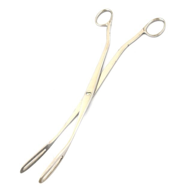 Sopher ovum Forceps 10.75'' Straight Serrated wide jaws Ring Handle DS-2184
